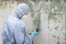 Environmental Consulting for Mold Prevention in Kerman, CA